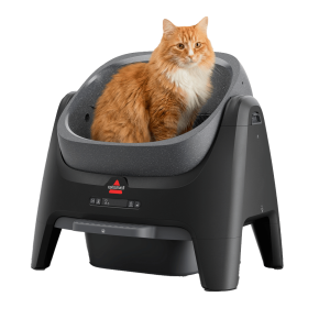 CleanWell? Self Cleaning Litter Box